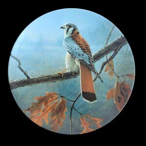 Hawk Plate Collectible 1989 Knowles American Kestrel By Daniel Smith 84-K41-74.6